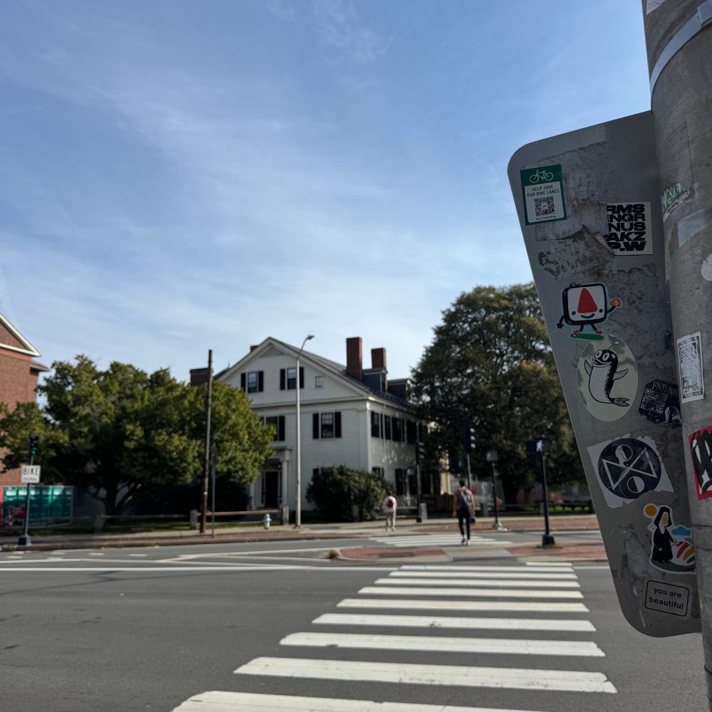 that back of a street sign over looking a crosswalk across mass ave. the street sign has several stickers on it, including a you are beautiful sticker in the bottom left