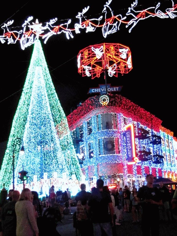 An animated gif of Christmas lights flashing. A Christmas Tree made of only lights with a 4 pointed star. A building completely covered in lights. On top of the building Angels on a spinning carousel. 