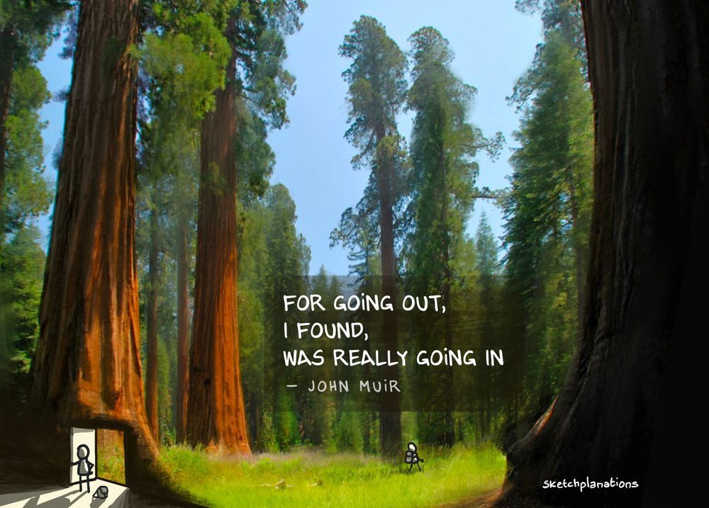John Muir quote illustration: I only went out for a walk, and finally concluded to stay out till sundown, for going out, I found, was really going in — John Muir quote