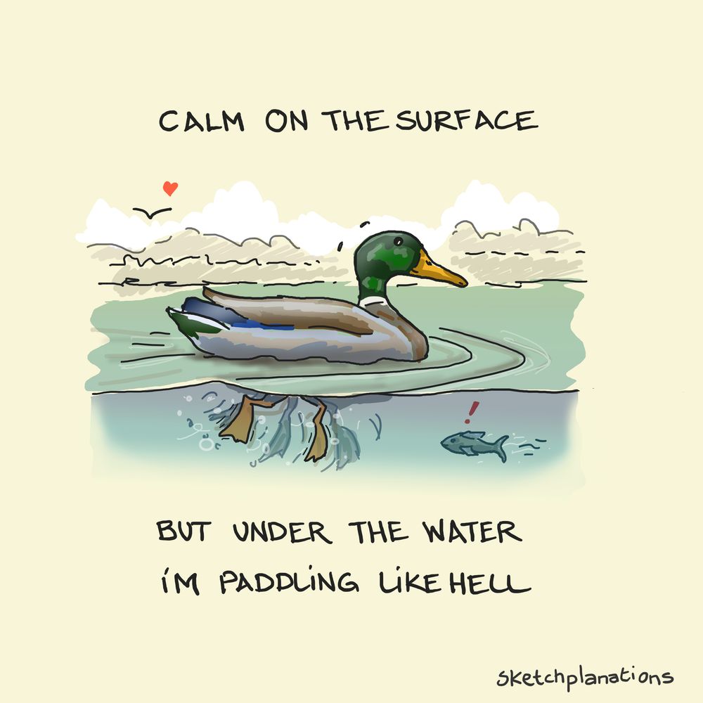 Calm Like a Duck quote: Calm on the surface but under the water I'm paddling like hell