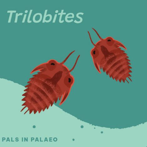 A cute pair of spiny trilobites on a colorful background. Text reads 'Trilobites' by Pals in Palaeo