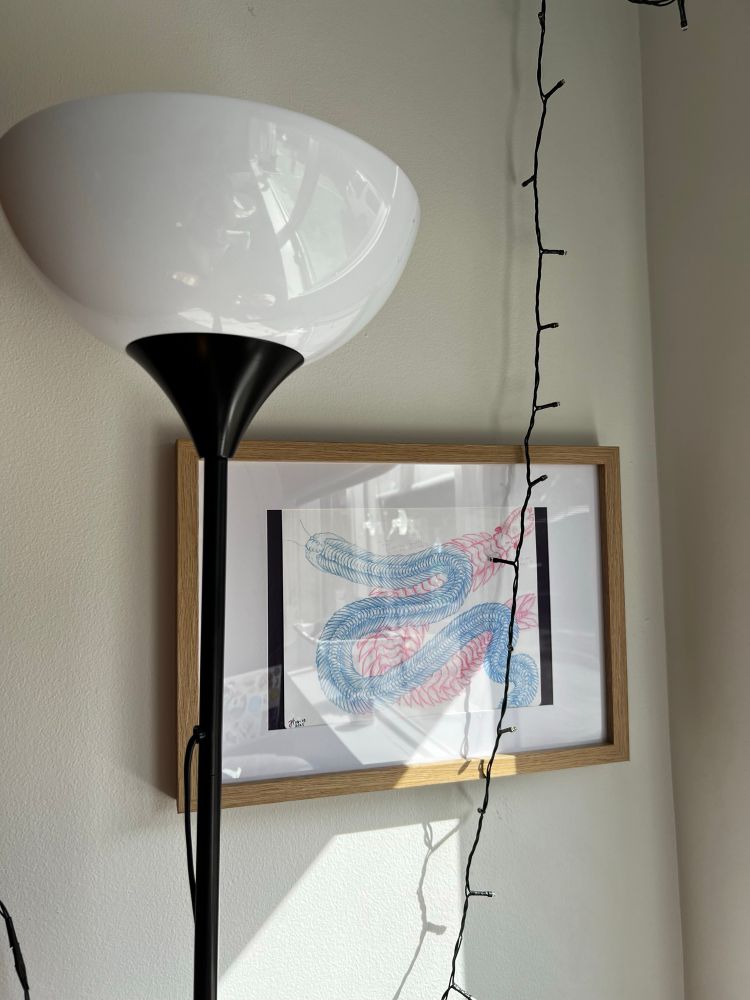 The wall that faces my recording area for the podcast, featuring: amazing long trilobite and anomalocaris fanart by Jack (from my bit about wanting long prehistoric lobster meat). Also, that one ikea lamp everyone has and some fairy lights. The art is in a wood and glass frame.
