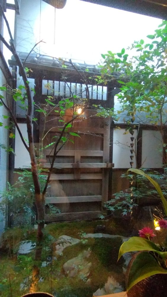 和菓子とお茶屋さんの中庭の風景　苔むした小さな庭