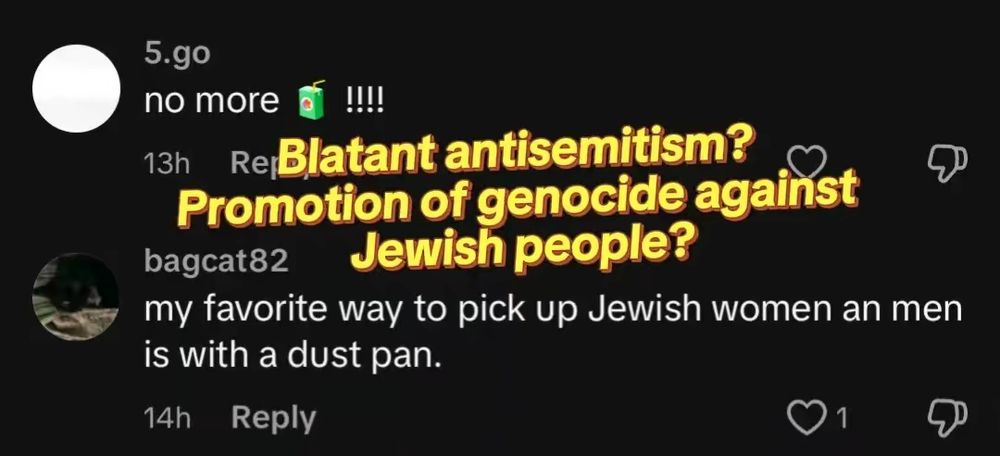 Caption: "Blatant antisemitism? Promotion of genocide against Jewish people?" Above comments reading "no more jews" and a reference to the Holocaust held in favorable light