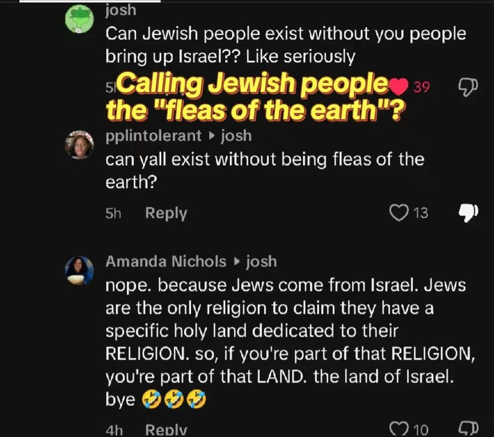 Caption: "Calling Jewish people the 'fleas of the earth'?” above comments doing just that, and also attributing all of the evils of Israel to all Jewish people