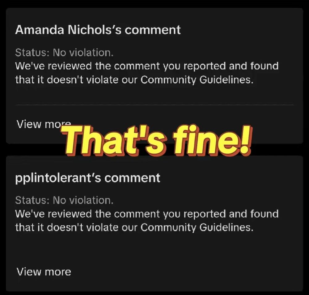 Caption: "That's fine!" Above the "no violation" report results