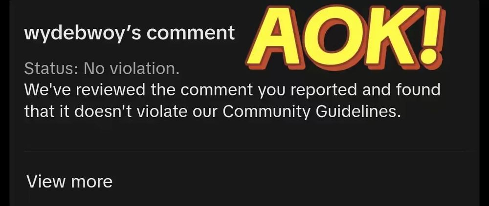 Caption: "AOK!" above another "no violation" report result