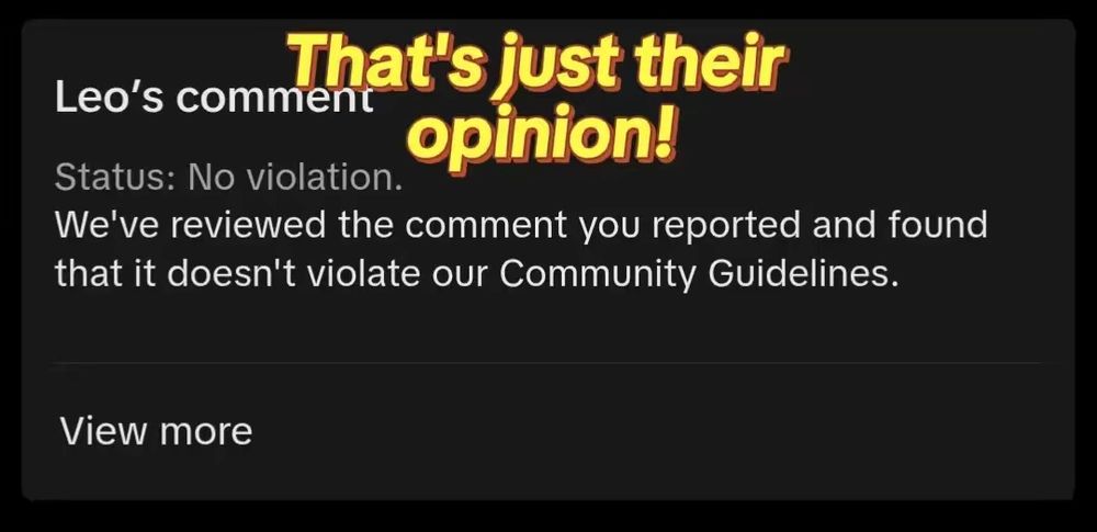 Overlaid caption reads "That's just their opinion!" Above the report result reading "no violation"