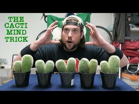 Can A Human Trick Their Mind Into Eating 10 Cacti? (Warning: Dumb) | L.A. BEAST