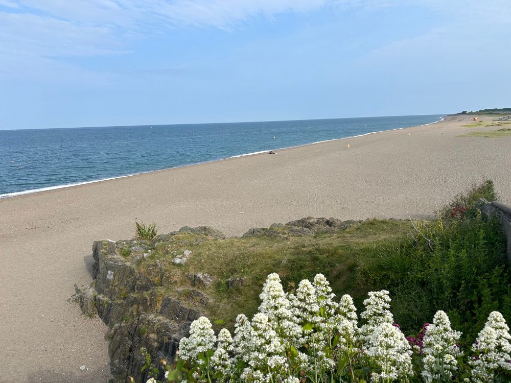 Picture of a beach 