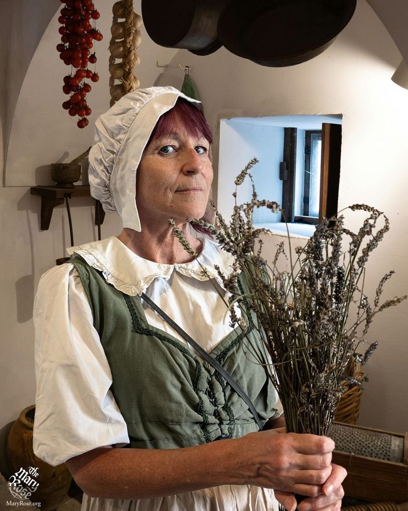 A woman in lower class Tudor clothing holding some dried lavender. She is very wise looking...