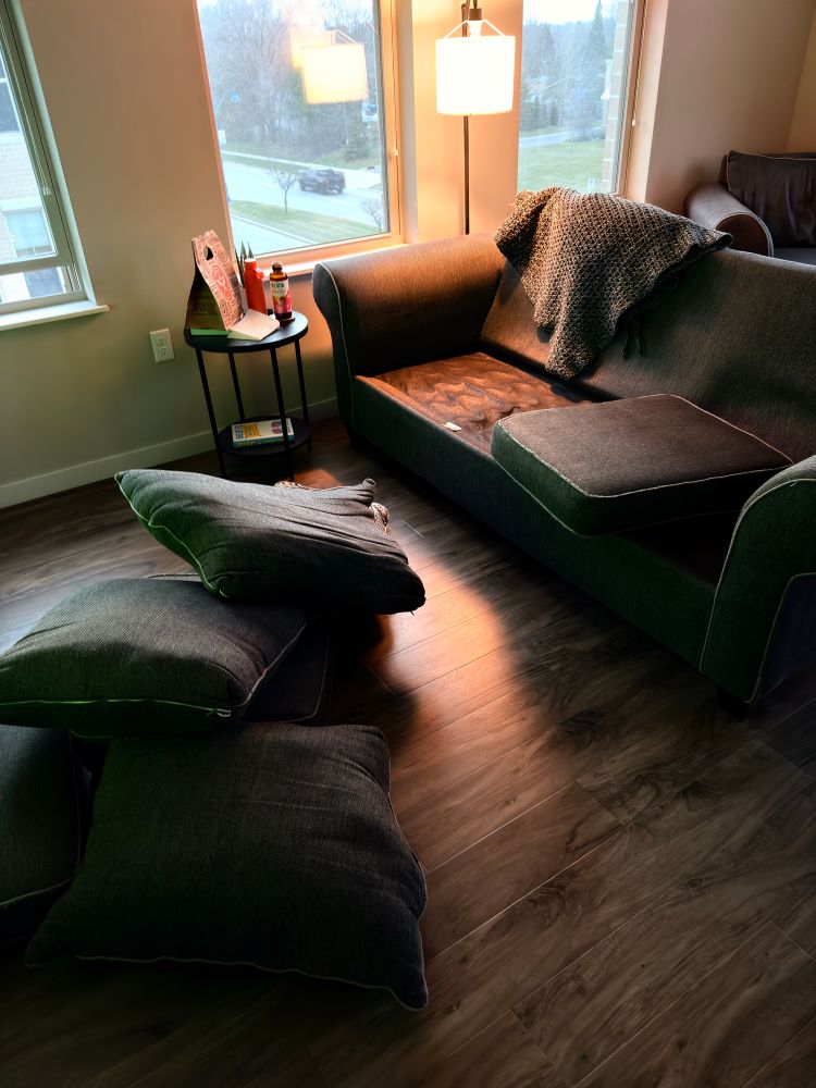 My couch cushions all strewn about thanks to this bitchass remote