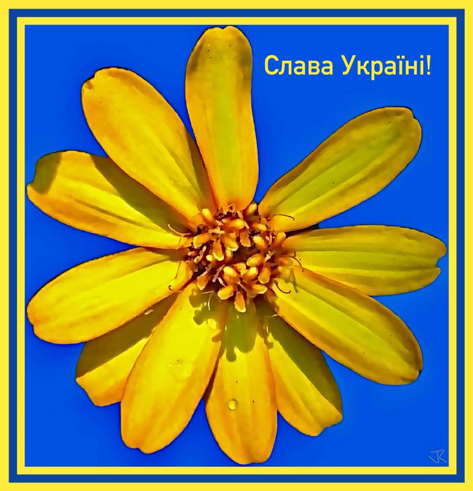 Comment image