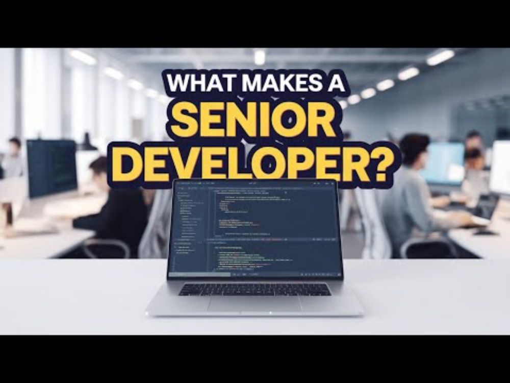 What Makes a Senior Developer?