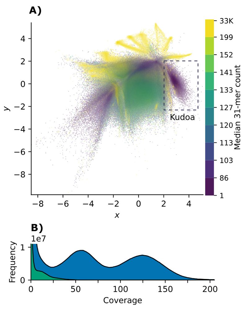 A) VAE embeddings of read tetranucleotide content for the Trachurus trachurus sample, coloured by median 31-mer occurrence across the whole set. Darker colours indicate low k-mer coverage. A cluster of low-coverage myxozoan reads is visible on the right. B) K-mer histograms showing the entire dataset (blue, upper curve), and the selection corresponding to the parasite (green, lower curve)