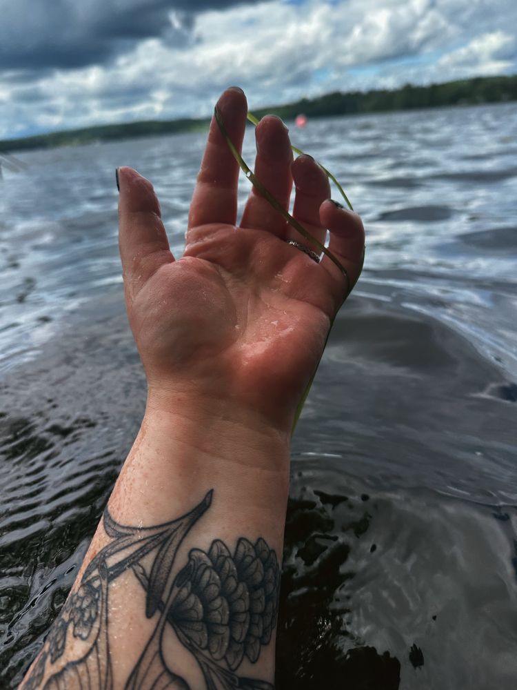 A woman’s hand with seaweed encircling the fingers. There’s a tattoo on the forearm of the hand. 