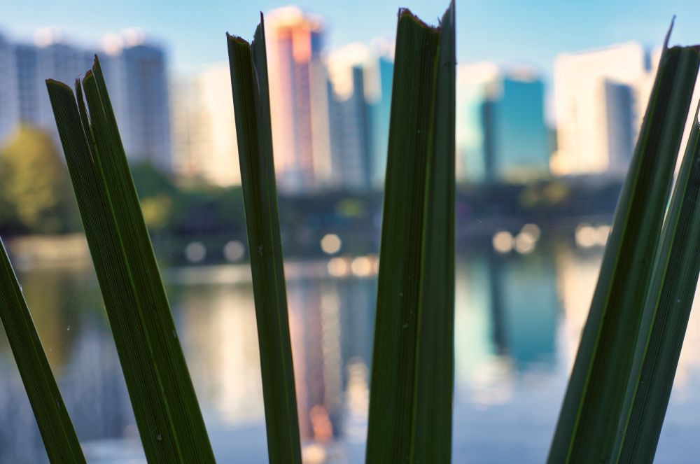 City scenery 
#cityscape #scenery #cityphotography