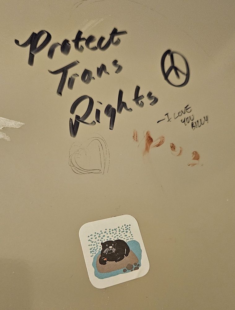 Graffiti "Protect Trans Rights" withe a peace sign, below it in dfferent handwriting, "I love you Billy." Under that is a sticker of some kind of black, whiskered animal on a rock surroundednded by water.