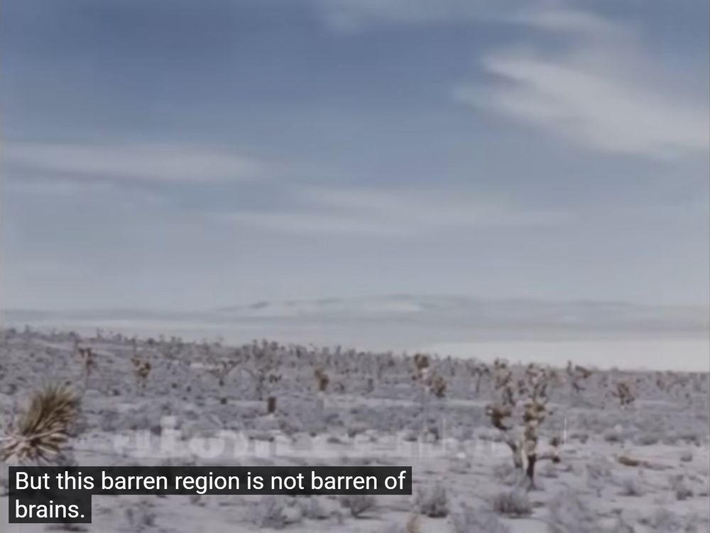 archive footage of some nevada landscape with the closed caption "but this barren region is not barren of brains"