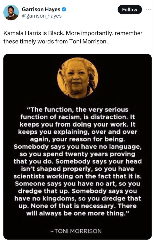 Nobel Prize winner Toni Morrison: "The function, the very serious function of racism, is distraction. It keeps you from doing your work. It keeps you explaining, over and over again, your reason for being.
Somebody says you have no language, so you spend twenty years proving that you do. Somebody says your head isn't shaped properly, so you have scientists working on the fact that it is.
Someone says you have no art, so you dredge that up. Somebody says you have no kingdoms, so you dredge that up. None of that is necessary. There will always be one more thing."