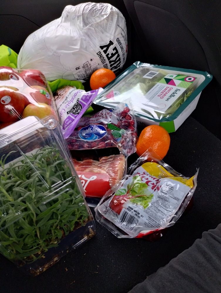 Array of groceries on folded down back seat of a car.

A fresh turkey, some saran wrapped discounted apples, chocolate cake mix, hydroponic greens, oranges, fresh cranberries, bacon, peeled and steamed beets, and rosemary to plant
