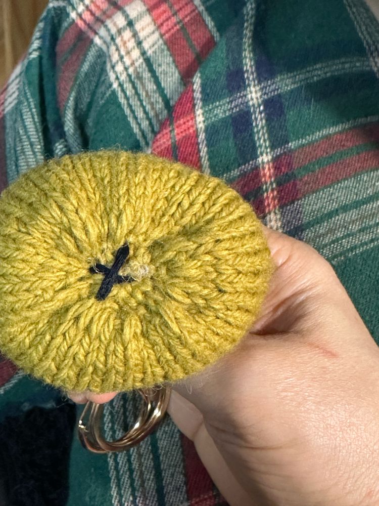 뚱냥이 바닥에 X로 응꼬 표시