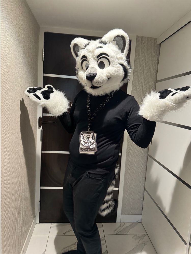 Somnius poses for the camera, dressed in all black and in fursuit head/paws/tail in front of a hotel room door. A badge is visible hanging from their neck, featuring one of their commissions on the end.
