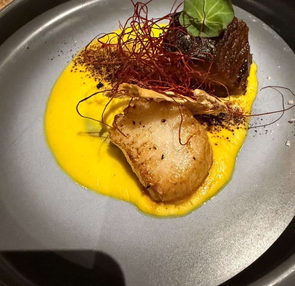 Appetizer. Scallop with pork belly and a corn cream. 