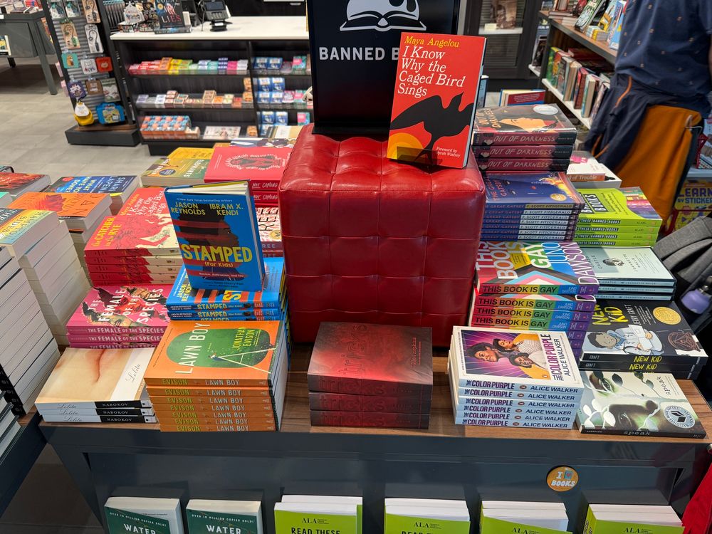 A selection of books banned in the Utah public school system including: stamped, I know why the caged bird sings, this book is gay, the color purple, water for elephants, lolita, the female of the species.