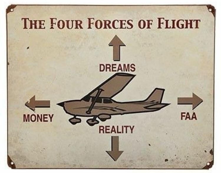 The four forces of flight. Money, and dreams with reality and the FAA counteracting.