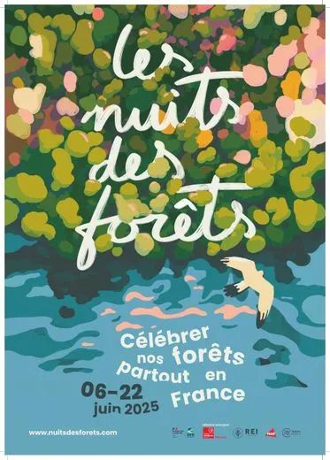 Affiche avec un fond style peinture d'une forêt qui borde l'eau, un oiseau volant au-dessus. le titre affiche "Les nuits des forêts, célébrer nos forêts partout en France. du 06 au 22 Juin 2025"