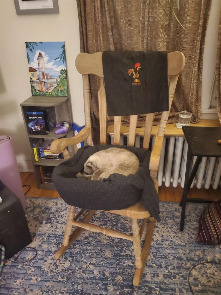 A cat bed sits in an old rocking chair in front of a window and radiator. A cat is curled contentedly in the bed.