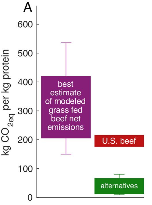 carbon intensity of beef and alternatives. 