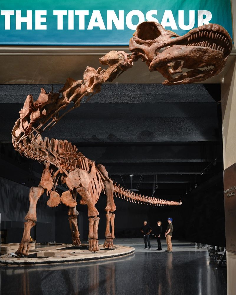 Head on shot of The Titanosaur towering over the viewer as its head peers out of the arch of the hall entrance. Its long body can be seen trailing behind it, as well as three people who seem tiny compared to its immense size. 