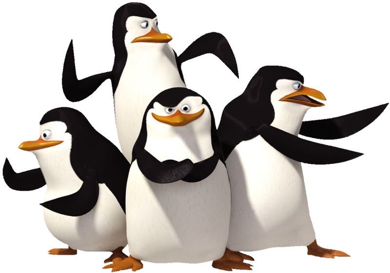 Comment image