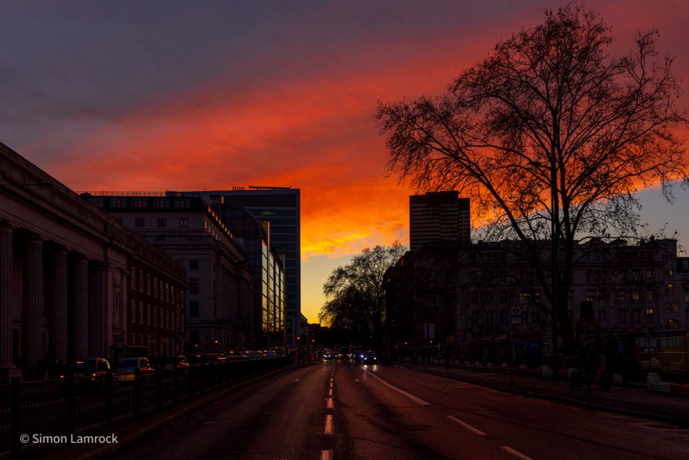 Warm burnt orange sunset reflects off clouds above Euston Road silhouetting the last remaining tree in Euston Square Gardens (West) not cut down by HS2. 

29/11/2025. Photo Credit: Simon Lamrock 