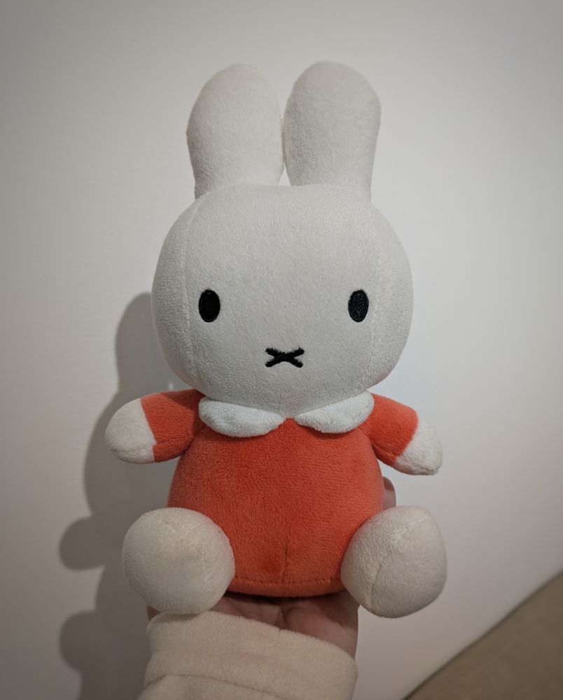 A Miffy plush. She's wearing a smart orange dress and looks remarkably well kept for something that spends so much time near a kiddo.
