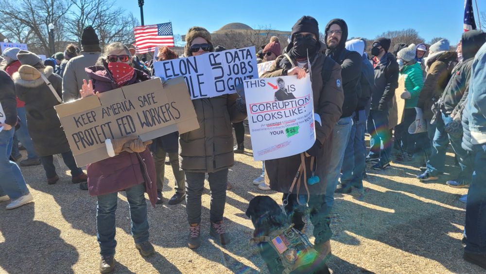 Photo of protesters at the Presidents Day protest in Washington DC. 
