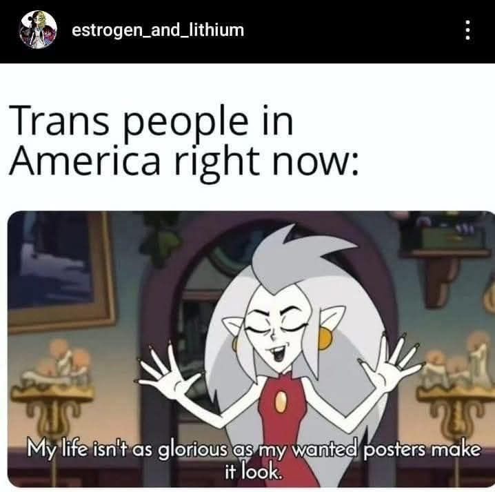 Trans people in America right now:

My life isn't as glorious as my wanted posters make it look.