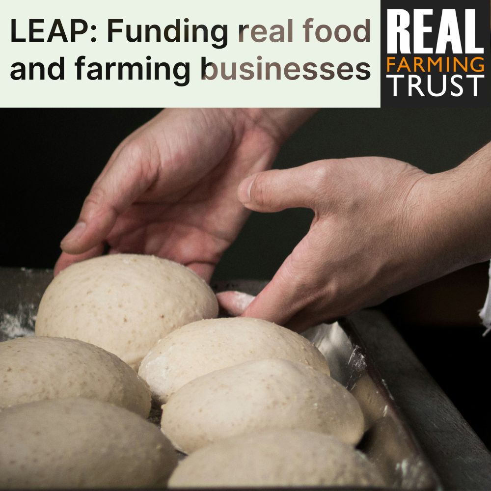 Background picture of hands placing balled dough on a tray. Over the top is text which reads 'LEAP: Funding real food and farming businesses' and the Real Farming Trust logo.
