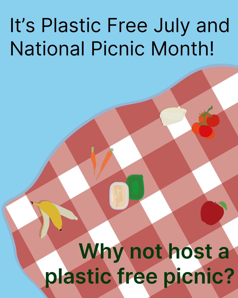 Text that reads 'It's Plastic Free July and National Picnic Month! Why not host a plastic free picnic?' The background image is of a picnic rug with different plastic free snacks - a banana peel, carrots, hummus in a tupperware, cheese in paper, tomatoes, and an apple.
