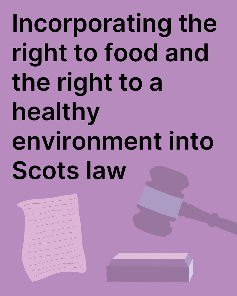 Black text on a lilac background which reads 'Incorporating the right to food and the right to a healthy environment into Scots law' with digital illustrations of a legal gavel and written document in the bottom third of the image.
