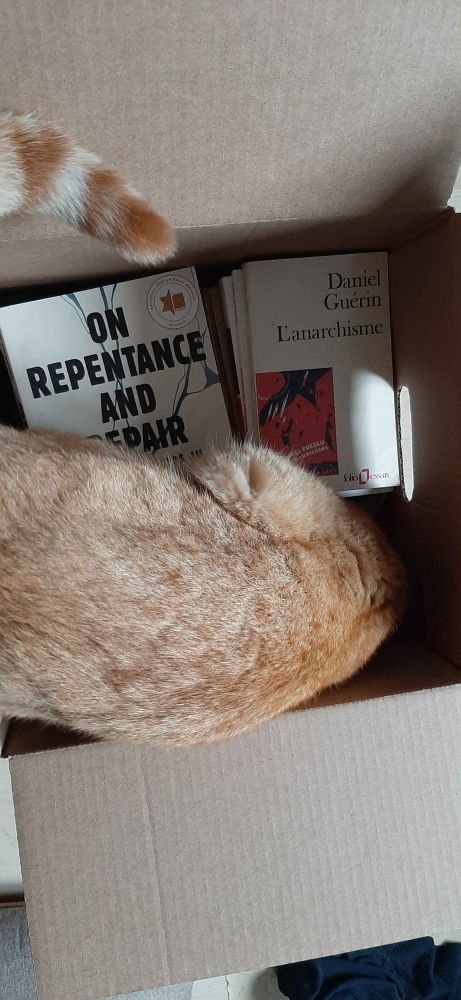 A cardboard box. In it are piles of books (the top ones are Danya Ruttenberg's On Repentance and Repair, and Daniel Guérin's L'anarchisme), as well as my ginger cat, Simba. He's looking down, trying to "dig" into the books, his tail stretching out of the box.