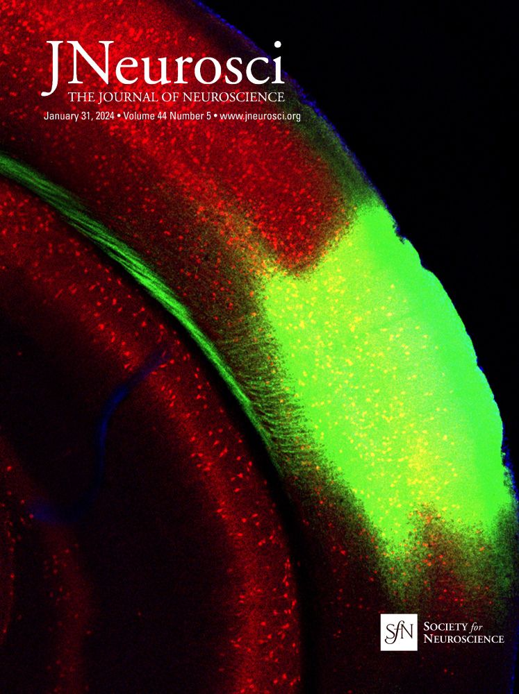 Category-Selective Representation of Relationships in the Visual Cortex