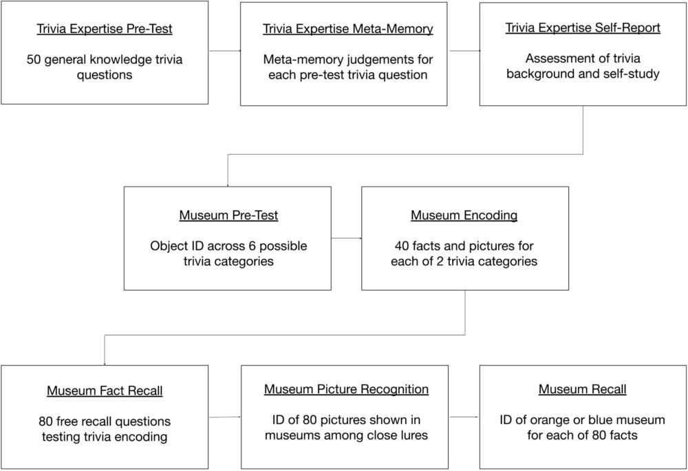 Episodic-semantic linkage for $1000: New semantic knowledge is more strongly coupled with episodic memory in trivia experts - Psychonomic Bulletin & Review