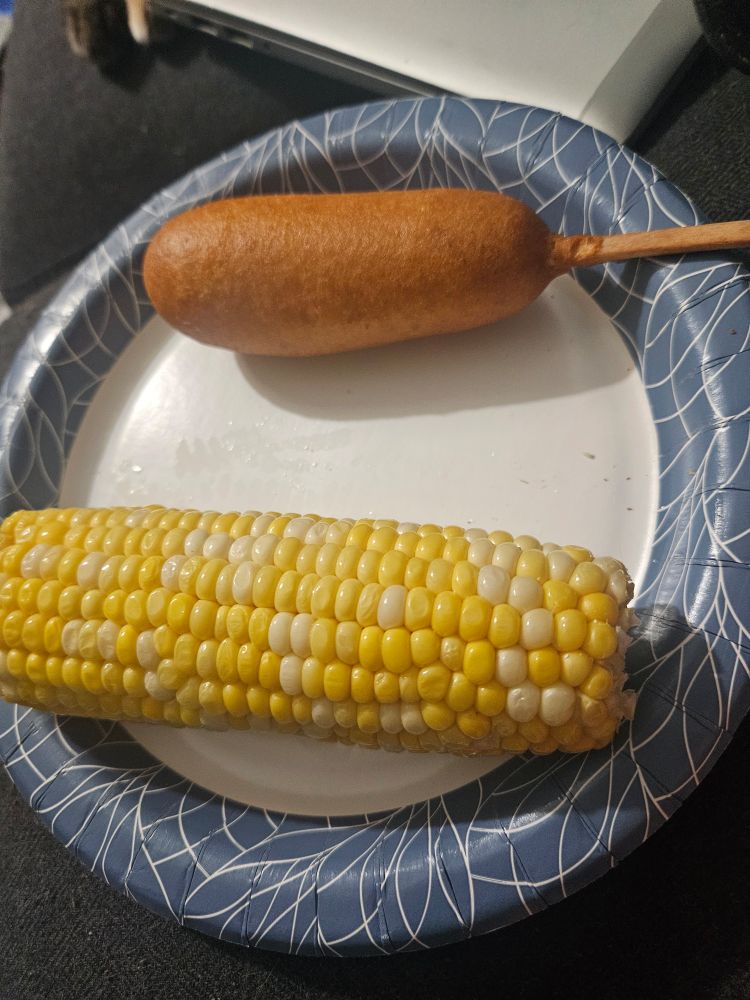 A plate with a thing of corn and a corn dog on it