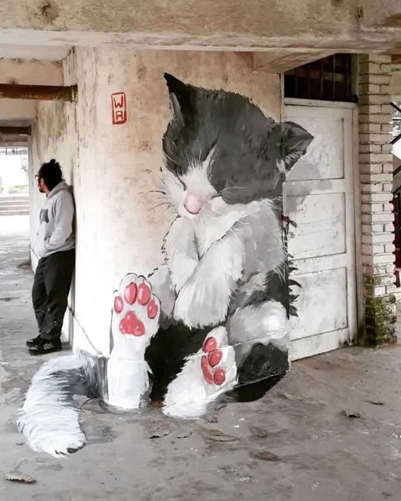 #StreetArt représentant un chat adossé à une porte  de WA que vous pouvez voir à #Lima, au #Pérou 