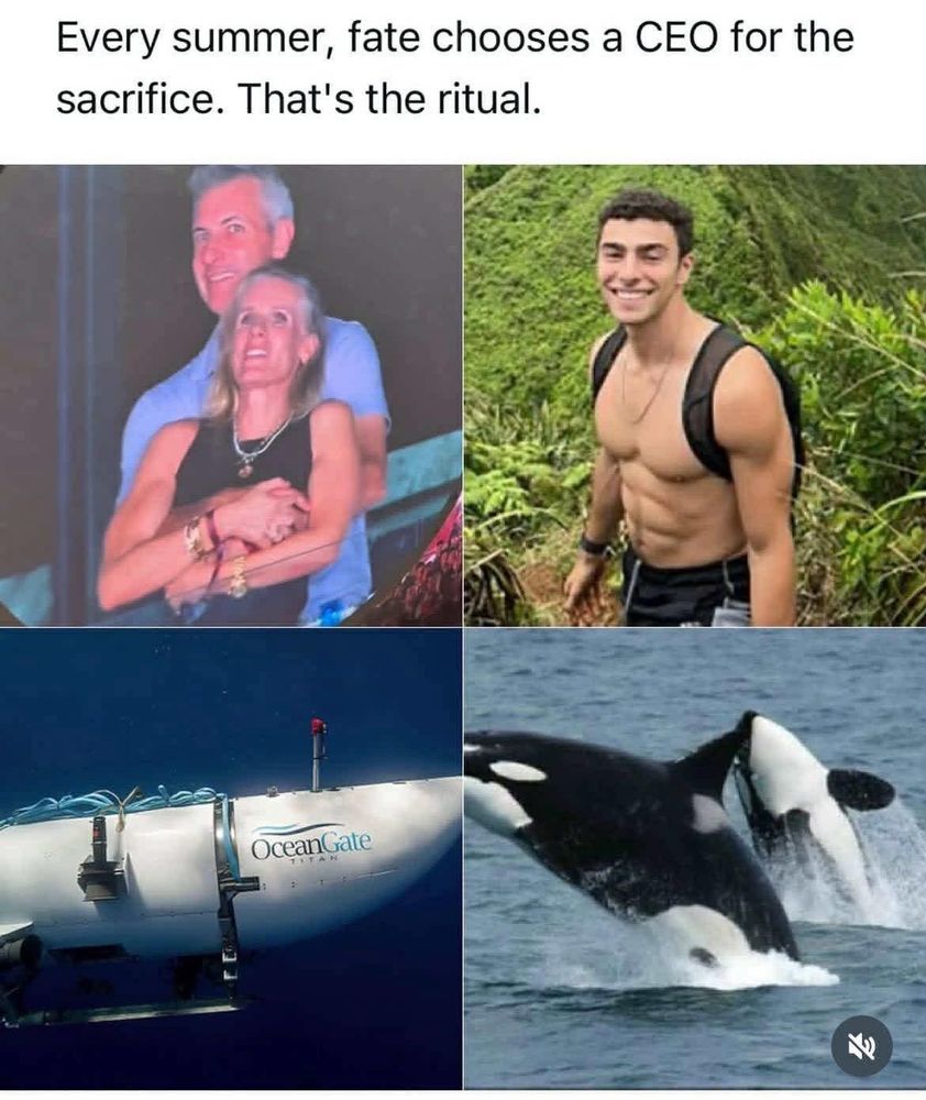 Four pictures: top left ceo and mistress at oasis concert, top right shirtless picture of Luigi mangione, bottom left the oceangate submersible, bottom right orcas cresting. 

Text reads: Every summer, fate chooses a CEO for the sacrifice. That's the ritual