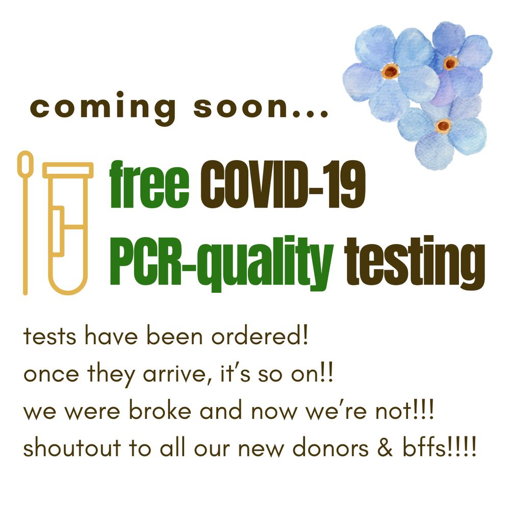 Covid test program tease: White background with blue forget-me-nots in top right corner. Brown and green text reads: "coming soon... free COVID-19 PCR-quality testing. Tests have been ordered! Once they arrive, it's so on!! We were broke and now we're not!!! Shoutout to all our new donors & bffs!!!!"
