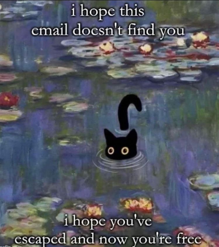 Picture of a black cat wading through a waterpainted pond. Text reads: I hope this email doesn't find you. I hope you've escaped and now you're free